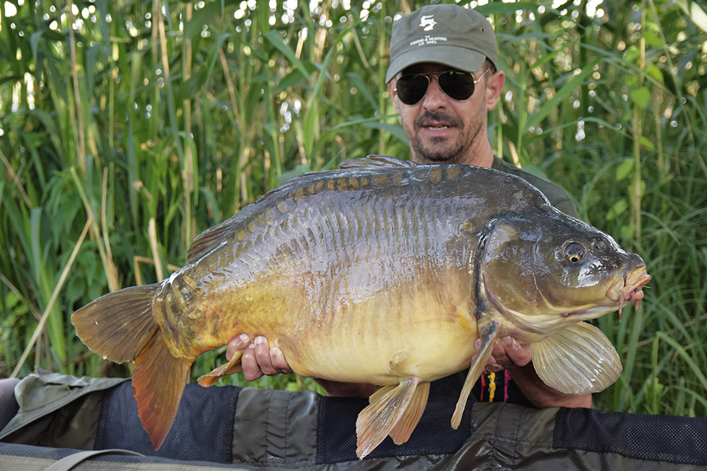 Fir textil vs. Fluorocarbon