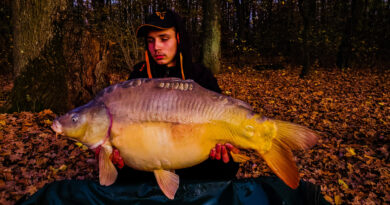 Carp Tricks – Mirror Carp Carp Tricks – Mirror Carp