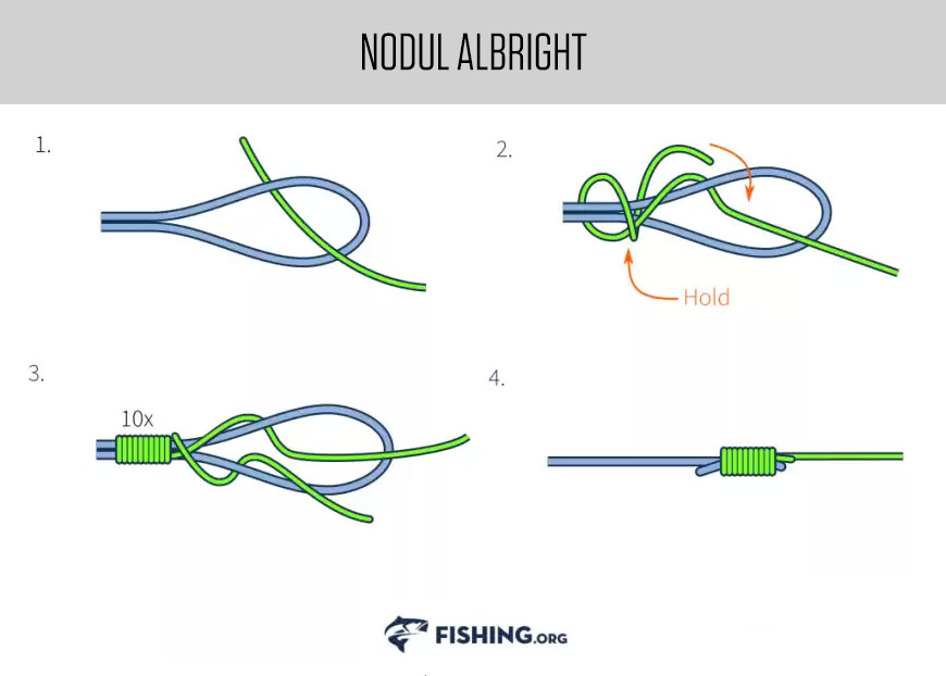 Noduri pescaresti - Albright