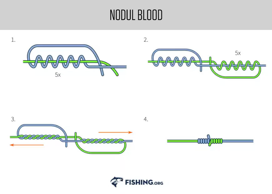 Noduri pescaresti - Nodul Blood