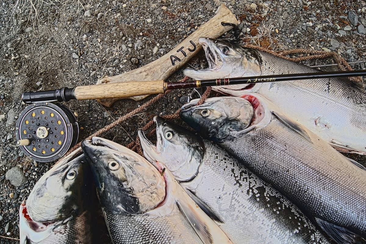 Please Officer Person in charge of sports game Blogul magazinului de pescuit si outdoor Fishing Mall Please Officer Person in charge of sports game Blogul magazinului de pescuit si outdoor Fishing Mall