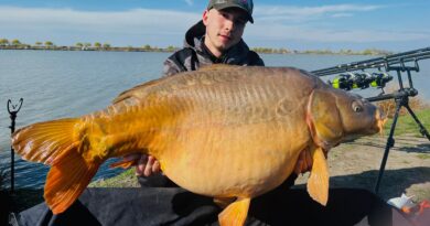 Carp Tricks – Pesti capitali cu pungi solubile Carp Tricks – Pesti capitali cu pungi solubile