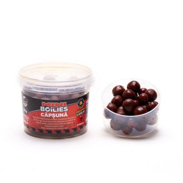 MINIBOILIES SENZOR DIPUIT FEEDER PENTRU CARLIG CAPSUNA 8-10mm 50g - SNZ99783 MINIBOILIES SENZOR DIPUIT FEEDER PENTRU CARLIG CAPSUNA 8-10mm 50g - SNZ99783